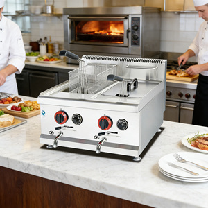 <span class=keywords><strong>Friteuse</strong></span> à gaz compacte à double réservoir, capacité 14L+14L, design peu encombrant pour les petits cafés et snack-bars, facile à déplacer et à utiliser - Product Image 1