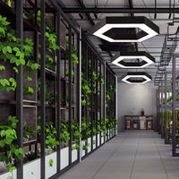 Lampes Suspendues Led Modernes Tube de Mur Led Lumière Linéaire Plafond Hexagonal Lustre Lumière