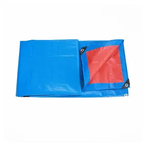 Lona quadrada de venda quente 12X12 Linyi Pe lona folha azul