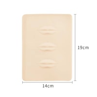 OEM Peau de pratique en silicone pour le microblading des sourcils et des lèvres pour la formation permanente à l'Académie de maquillage