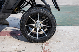 Carrito de Golf Eléctrico Todoterreno Personalizado, sin Escobillas, 40 km/h, Batería de 60V, Modelo <span class=keywords><strong>Gorilla</strong></span> - Product Image 6