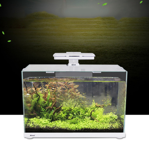 Petit aquarium autonettoyant de bureau, remplacement gratuit, fournisseur unique d'aquarium en plastique, mini pêche paresseuse - Product Image 5
