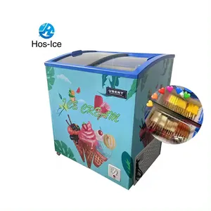 Factory Speciality 110V60HZ Commercial Use Ice Cream Meat Freezer Display Chest Deep Freezer