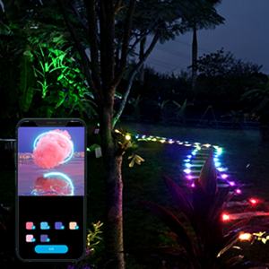 Paquete de 15 Luces LED de Cadena para Jardín, Exteriores, Impermeables IP67, 36 pies, Multicolor RGBICW, con Control por Aplicación - Product Image 3