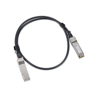 Customized 1m 3ft 100G QSFP28 Passive Direct Attach Copper Twinax Cable Compatible With Cisco Dell Generic Intel HPE DAC Cable