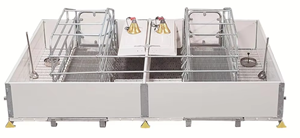 Cages de maternité complètes pour porcs avec système de contention réglable pour truies, pour l'élevage et la reproduction porcine à grande échelle - Product Image 2