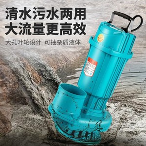 Submersible Pump 220V Single Phase Centrifugal Water Pump 1 In Discharge Port Agricultural Irrigation High Flow - Product Image 1