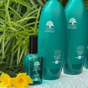 Shampooing et revitalisant à la menthe poivrée sans sulfate Arganmidas Bio Men Private Label pour cheveux gras - Product Image 6