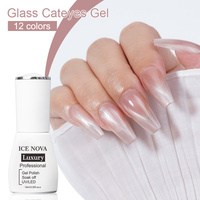ICE NOVA Verre Cat Eye Gel Polonais Holographique Glitter Argent Magnétique Verre Effet Miroir 10ml/15ml Hema Free Private Label