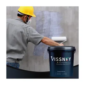 Powder Wall Coating Paint Non-Toxic Eco Friendly Double Components Ceiling/Floor/Wall Micro Cement Coating