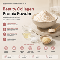 Beauty Collageen Vitamine Aminozuur Premix met Collageen Vitamine C Hyaluronzuur Biotine voor Functionele Voedingsingrediënten