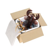 Boîtes en carton isothermes personnalisées en gros, super résistantes et épaissies, emballage express en carton