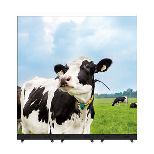 Pantalla de visualización Digital Led LED Pantalla de visualización Dígito al por mayor - Product Image 1