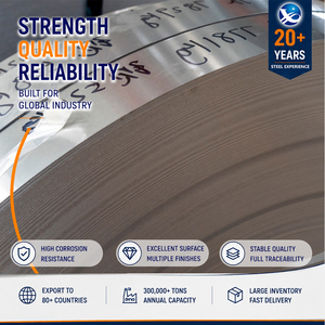 เหล็กสแตนเลสเกรดพรีเมียม ASTM มาตรฐาน 347H เคลือบ PVD หนา 0.5 มม. ขนาด 1219 มม. คุณภาพพรีเมียม GB T3280 แบบม้วน - Product Image 1