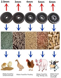 Giá thấp <span class=keywords><strong>Mini</strong></span> SINH KHỐI Saw bụi trấu Hops gỗ pelletizing phẳng chết nhỏ <span class=keywords><strong>PELLET</strong></span> máy - Product Image 6