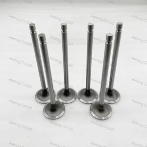 6D107 diesel engine block cylinder head intake valve exhaust valve for Cummins engine parts 3940735