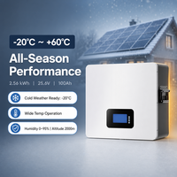 Batterie LiFePO4 murale séparée 25,6V 100Ah 2,56kWh pour stockage d'énergie domestique solaire avec BMS RS485 CAN pour utilisation hors réseau
