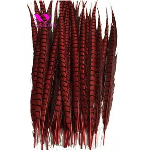 Wholesale Size 70-80 cm Dyed Purple Lady Amherst Pheasant Tail Feather for Showgirls Carnival Costume
