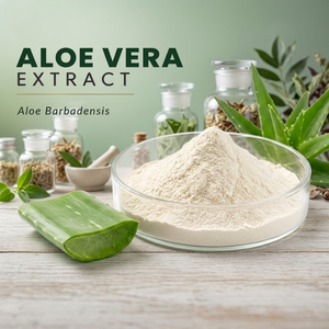Extracto de Aloe Vera en Polvo (Aloe Barbadensis), Polvo Fino, Probado con UV, Grado Alimenticio, para Cuidado de la Piel, Cabello y Fórmulas de Cuidado Personal - Product Image 3