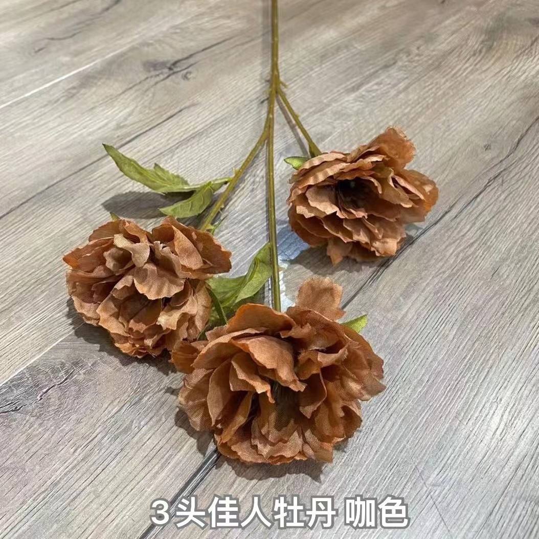 สีน้ำตาล ข้อเสนอพิเศษ 3 หัว ดอกโบตั๋นสีแกง