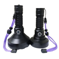 Lampe torche UV rechargeable par USB 395nm, détecteur de lumière noire ultraviolette, lampe torche UV 100 LED