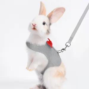 Wholesale rabbit accessories Adjustable Soft Harness with Elastic Leash for Rabbits