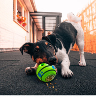 Neuer Giggle Hundeleckerli-Ball Hundespielzeug Langlebiger Natürlicher Geräusch-Erzeugender Großer Futterball IQ-Training Interaktives Spaßiges Giggle Haustier-Spielzeugball