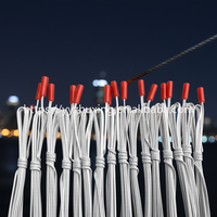 Allumeur électrique portable pour feux d'artifice, allumette électronique avec fil de cuivre de 12 pouces pour spectacle pyrotechnique professionnel et répétition aérienne