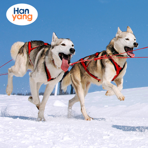Arctic Hound SnowPaw <span class=keywords><strong>Elite</strong></span> Polar Trek: Reflektieren des GlidePup Mehrfarbiges wasserdichtes, hochwertiges Nylon, verstellbarer und langlebiger Sleddi - Product Image 6