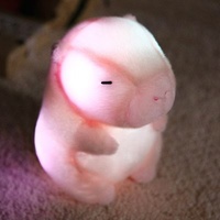 Nouvelle veilleuse lumineuse Capybara doux en peluche Gleamy peluche Lueur Capybara jouet avec lumière LED pour les enfants