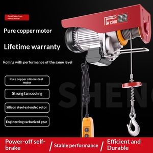 Mini <strong>Electric</strong> Hoist <strong>220V</strong> Wire Rope Crane <strong>Winch</strong> 1 Ton Lifting Machine for Household Renovation - Product Image 5