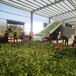 Nouvelle ligne de production de séchage à bande transporteuse industrielle pour le séchage des pousses de bambou, des châtaignes d'eau et des tranches de racines de lotus - Product Image 3