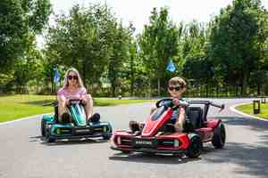 Go-kart elettrici professionali per adulti e bambini - Product Image 2