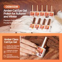 R S Nail New Trending Product 12 colores ámbar clase Cat Eye Gel japonés Nail Art MSDS Nail Art Painting Cat Eye Gel resina pegamento