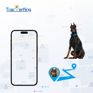 Collar Localizador GPS Sumergible Confiable para Perros de Caza, Rastreador de Posicionamiento en Tiempo Real, Dispositivo GPS Impermeable para Mascotas DK07 - Product Image 4