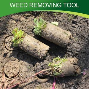 Adatto per Bloomers primaverili e bulbi da fiore che piantano fioriera multifunzionale efficiente e piantatrice di lampadine - Product Image 5