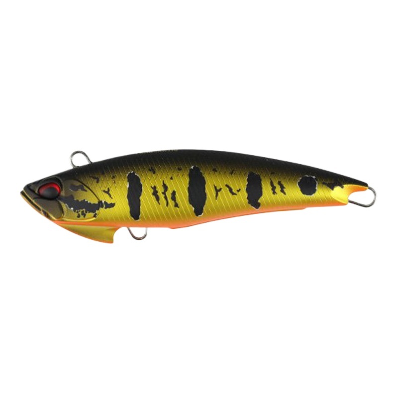 Tigre noir doré