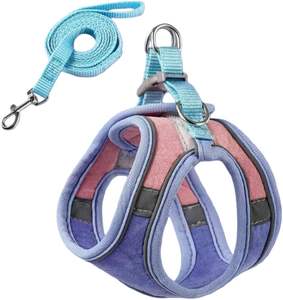 طقم حزام للقطط عاكس للضوء وصديق للبيئة من الجلد المدبوغ، تصميم عصري للمشي في الهواء الطلق للقطط الصغيرة والمتوسطة الحجم مصنوع من البوليستر - Product Image 1