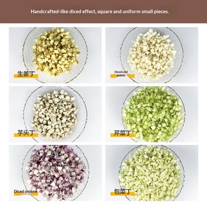 <span class=keywords><strong>Muda</strong></span> Tritatutto Elettrico Commerciale 250kg/h, Affettatrice Multifunzionale in Acciaio Inox per Frutta e Verdura, Macchina Tritatutto per Ristoranti - Product Image 4