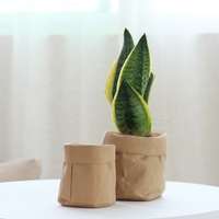 Sac en papier créatif forme succulentes jardinières conteneur jaune béton pot de fleur moules ciment pot de plante
