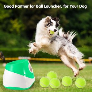Otomatik kapalı/outdoortenis topları köpek atıcı ile 3/6/9 adet çevre dostu küçük köpek topu başlatıcısı - Product Image 5