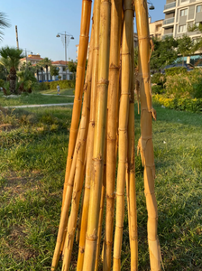 Gran oferta poste de bambú Natural ecológico de alta calidad Origen de Vietnam tamaño personalizado vida útil a largo plazo Vietchoice Ivy - Product Image 5