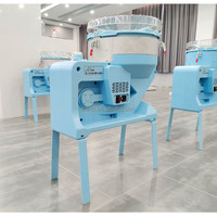 Trieuse à gousses d'ail électrique, machine à éplucher et à casser l'ail, machine à trier les graines d'ail