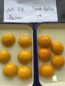2025 nouvelle pêche en conserve et pêche jaune 850g boîte de conserve fruits dans l'eau sirop sucré conservé sans conservateurs ajoutés - Product Image 2