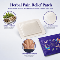 Patch analgésique à base de plantes pour les douleurs au cou, aux épaules, aux lombaires et aux genoux |   Formule botanique traditionnelle Miao |   Soulagement rapide et apaisant