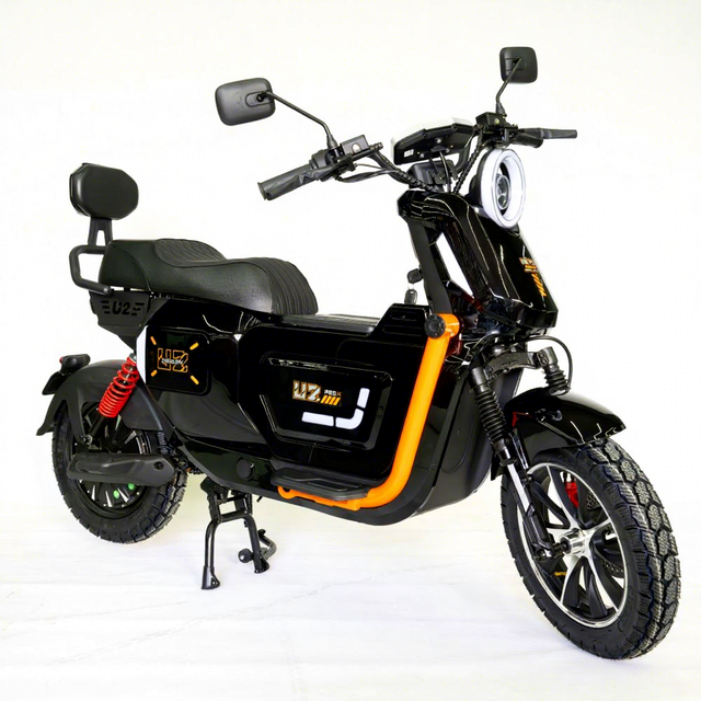 DISIYUAN Popular Long Range Lithium Battery Electric Bike E-bike U2