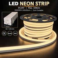 Ruban néon carré de 16 mm, DC24V, IP67, étanche, en silicone, pour la décoration extérieure des bâtiments