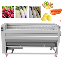 Automatische Wortelgroenten Was- en Schilmachine Gember Aardappel Wortel Groente Fruitwasser en Schilmachine 110/220 V