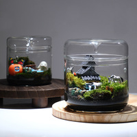 Collection de fabricants : Terrariums de bureau en verre Hejian faits à la main, coupes ouvertes, vases pour l'observation des plantes, transparents et réfléchissants la lumière