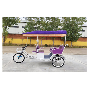 Rickshaw Taxi Bike Pedicab Transporte especial para alquiler Triciclo - Product Image 2